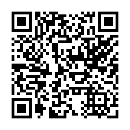 QR code for plate 31P 851