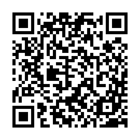 QR code for plate 31R 547