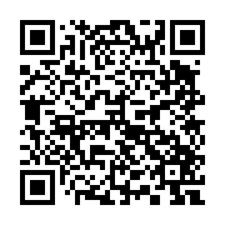 QR code for plate 31S 447