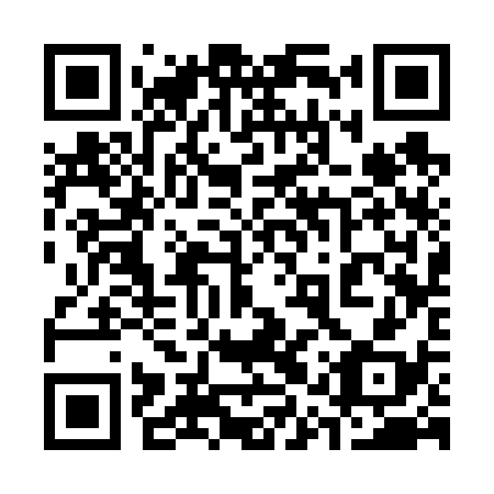 QR code for plate 31S 638