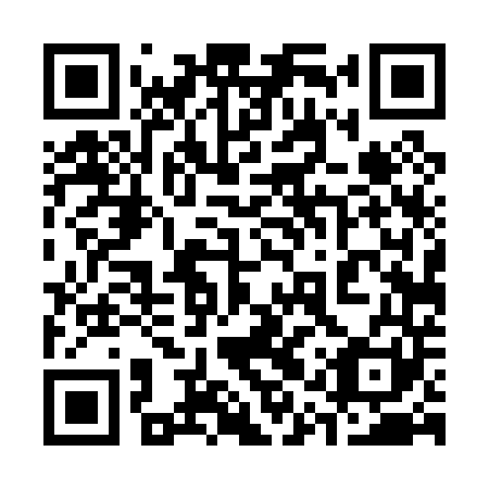 QR code for 31T 041