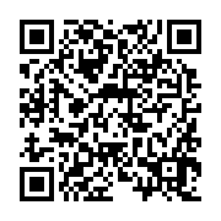 QR code for 31T 386