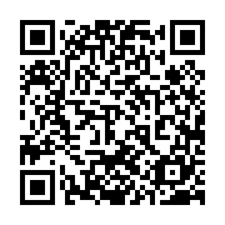 QR code for plate 31T 065