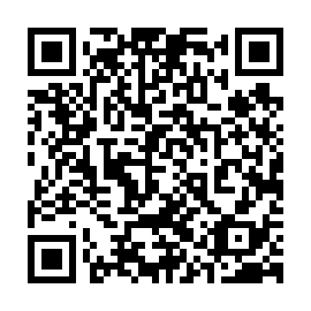 QR code for plate 31T 638