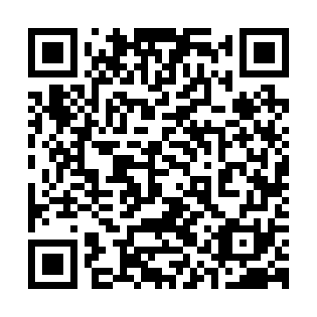 QR code for plate 31V 271