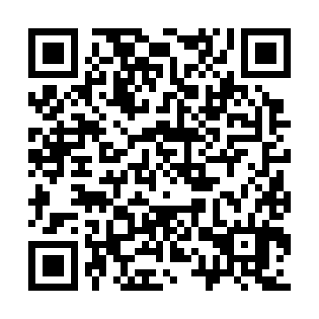 QR code for plate 31V 384