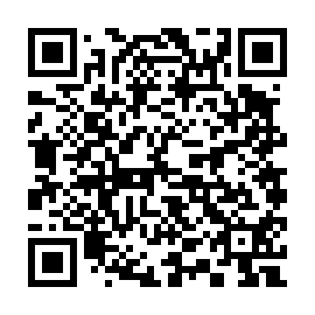 QR code for plate 31V 410
