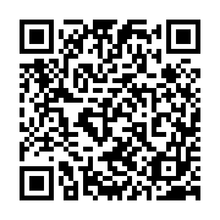 QR code for plate 31V 853