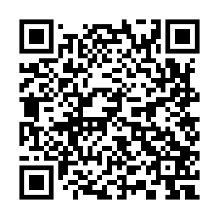 QR code for plate 31W 903