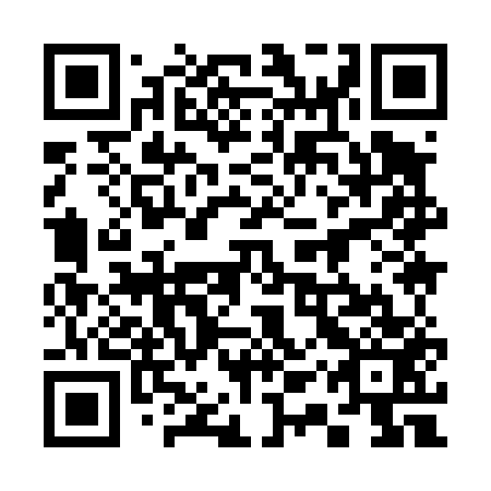 QR code for plate 31Y 453