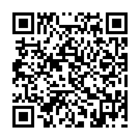 QR code for 31Z 311