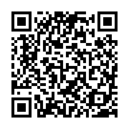 QR code for 31Z299