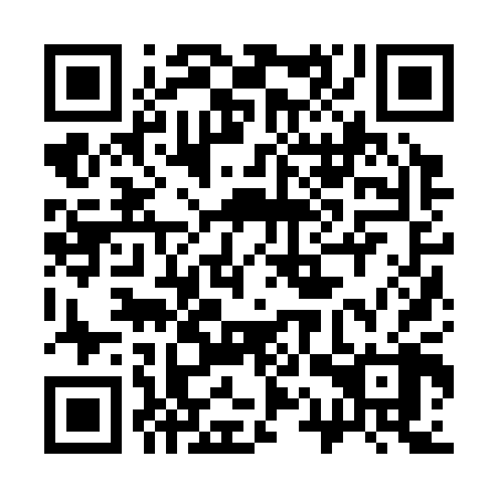 QR code for plate 31Z 308