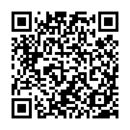 QR code for plate 31Z 481