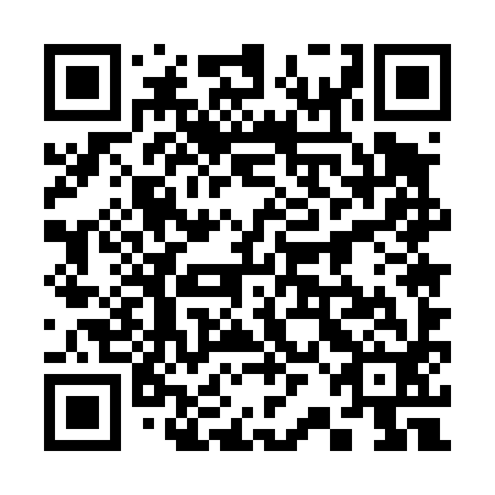 QR code for plate 32E 492