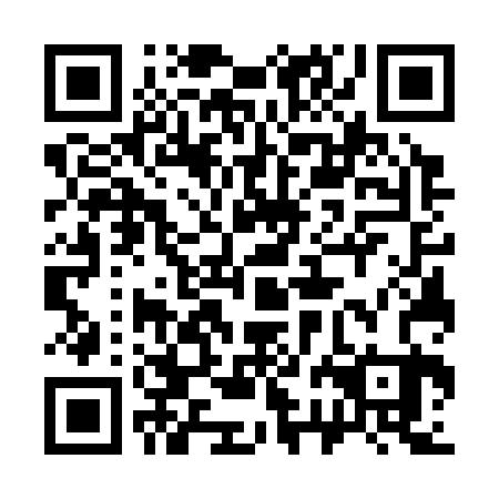 QR code for 32G 323