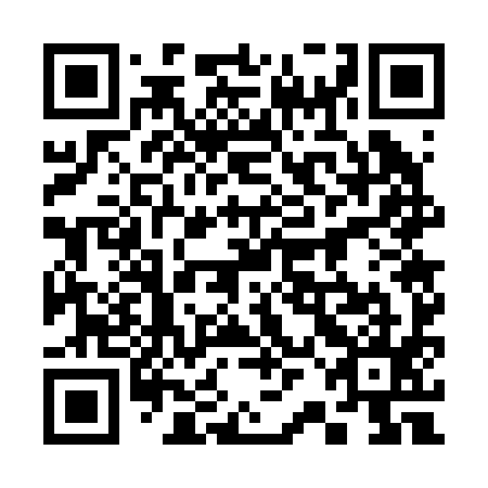 QR code for plate 32G 295
