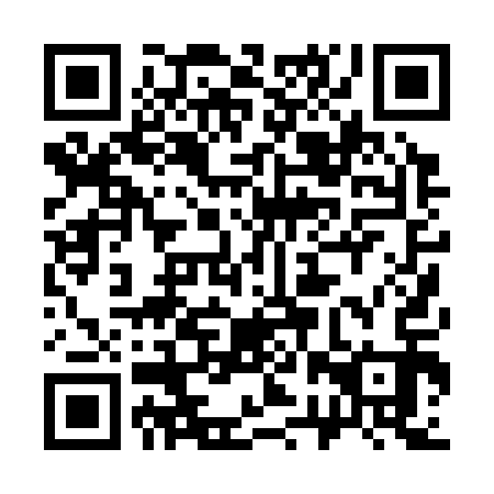 QR code for 32P313