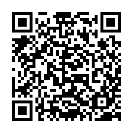 QR code for 32Q 384