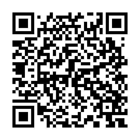 QR code for plate 32S 346