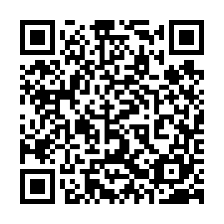 QR code for plate 32S 665