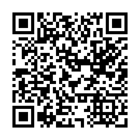 QR code for plate 32S 963
