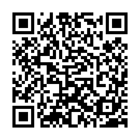 QR code for 32V 461