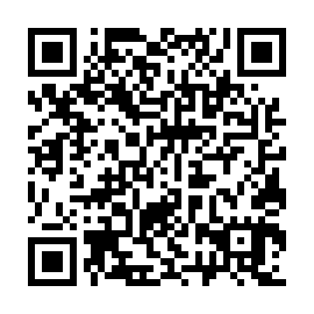 QR code for plate 32W 545