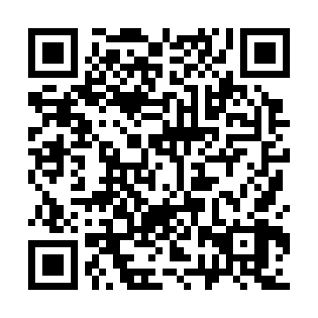 QR code for plate 32X 368