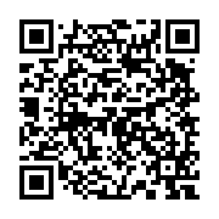 QR code for 32Z495