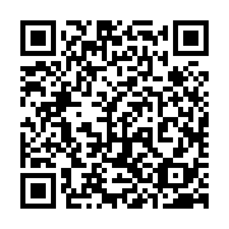 QR code for plate 33B 838