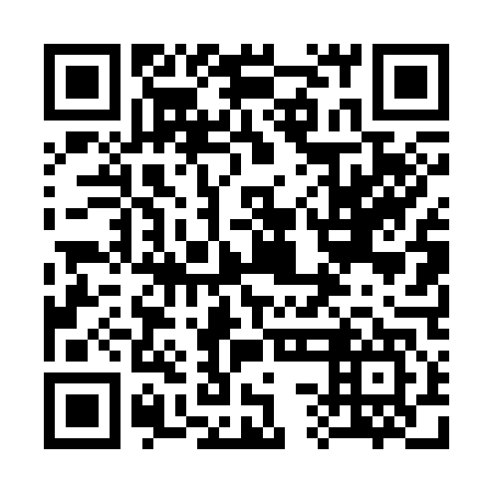 QR code for plate 33D 347