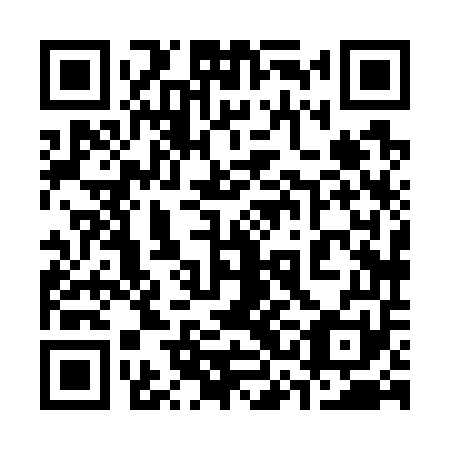 QR code for plate 33H 751
