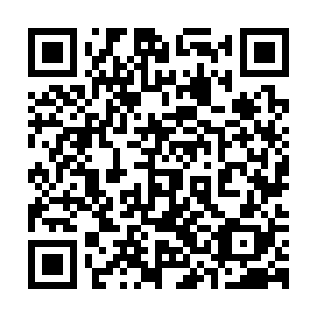 QR code for plate 33N 328