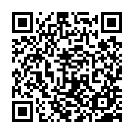 QR code for plate 33O 787