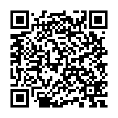 QR code for 33P 119