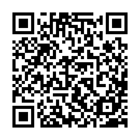 QR code for 33P 385