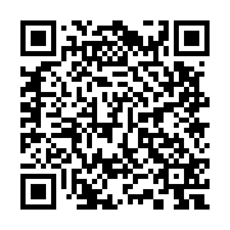 QR code for plate 33Q 521