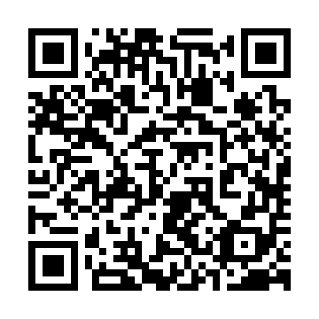 QR code for plate 33R 358