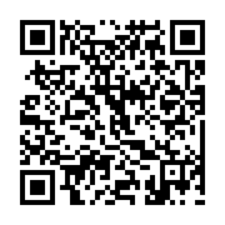 QR code for plate 33R 385