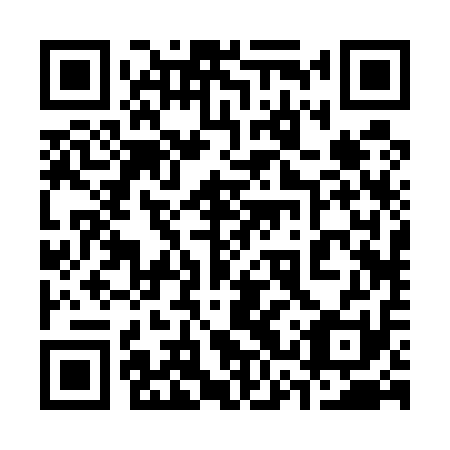 QR code for plate 33R 511