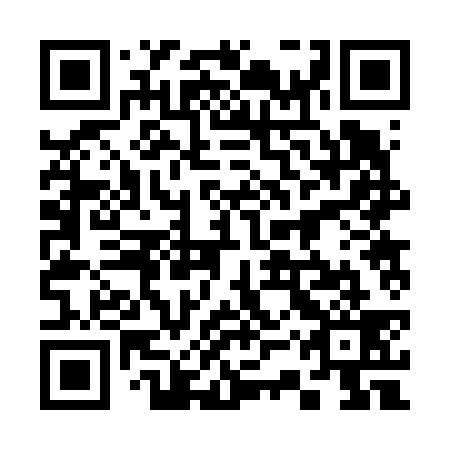 QR code for plate 33R 639