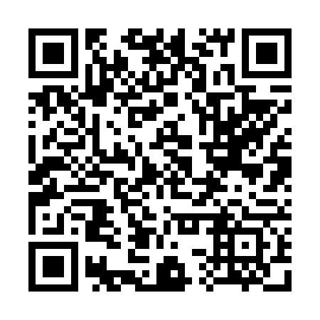 QR code for plate 33R 663