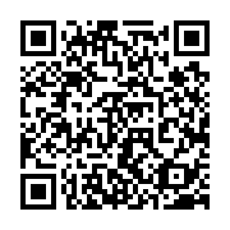 QR code for 33T 739