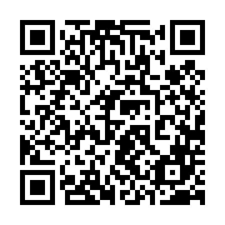 QR code for plate 33T 446