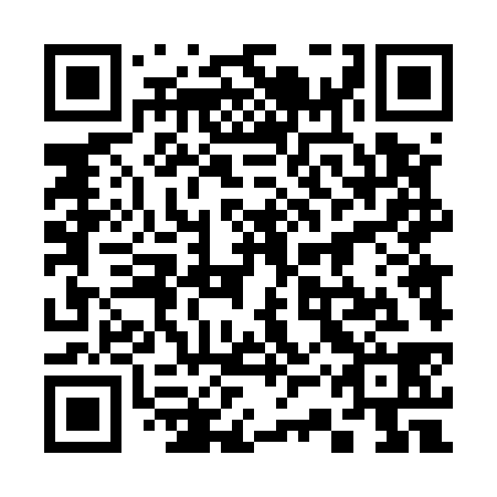 QR code for 33T538