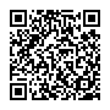 QR code for plate 33U 690