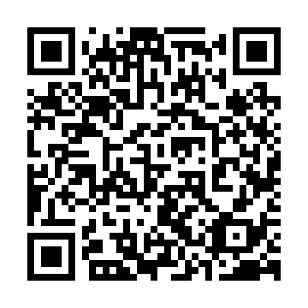 QR code for 33V 238