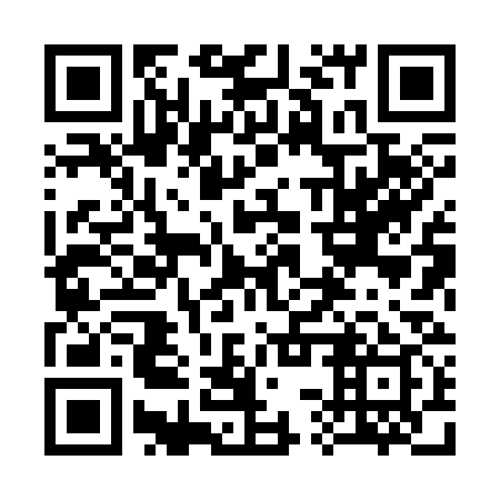 QR code for 33X 339