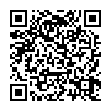 QR code for 33X228
